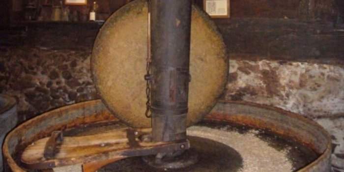 Moulin à huile de Münsingen
