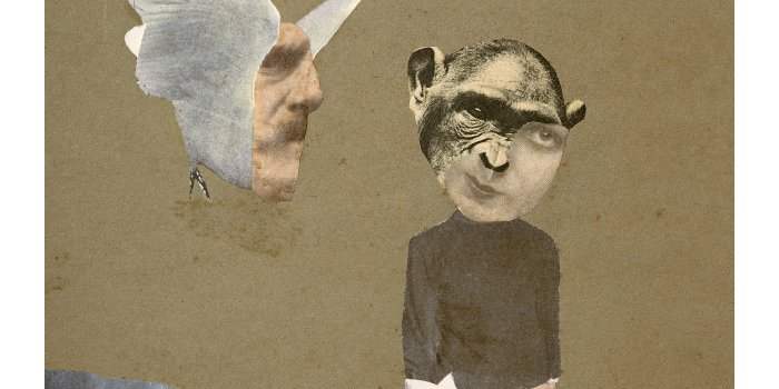 Hannah Höch : Mondes assemblés