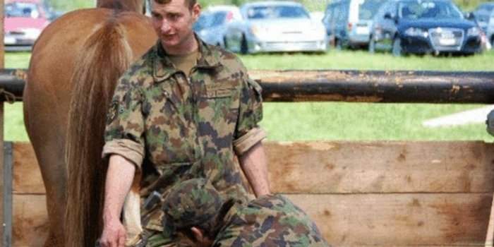 Centre de compétence du service vétérinaire et animaux de l'armée