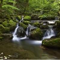 Découverte des gorges de la Douanne 