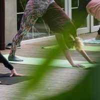 Séances découverte de yoga 